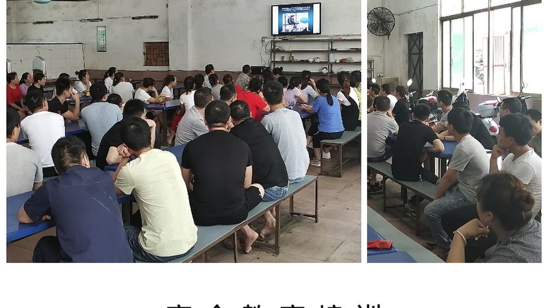 少儿编程教材与普通编程书：一场跨越年龄的编程之旅